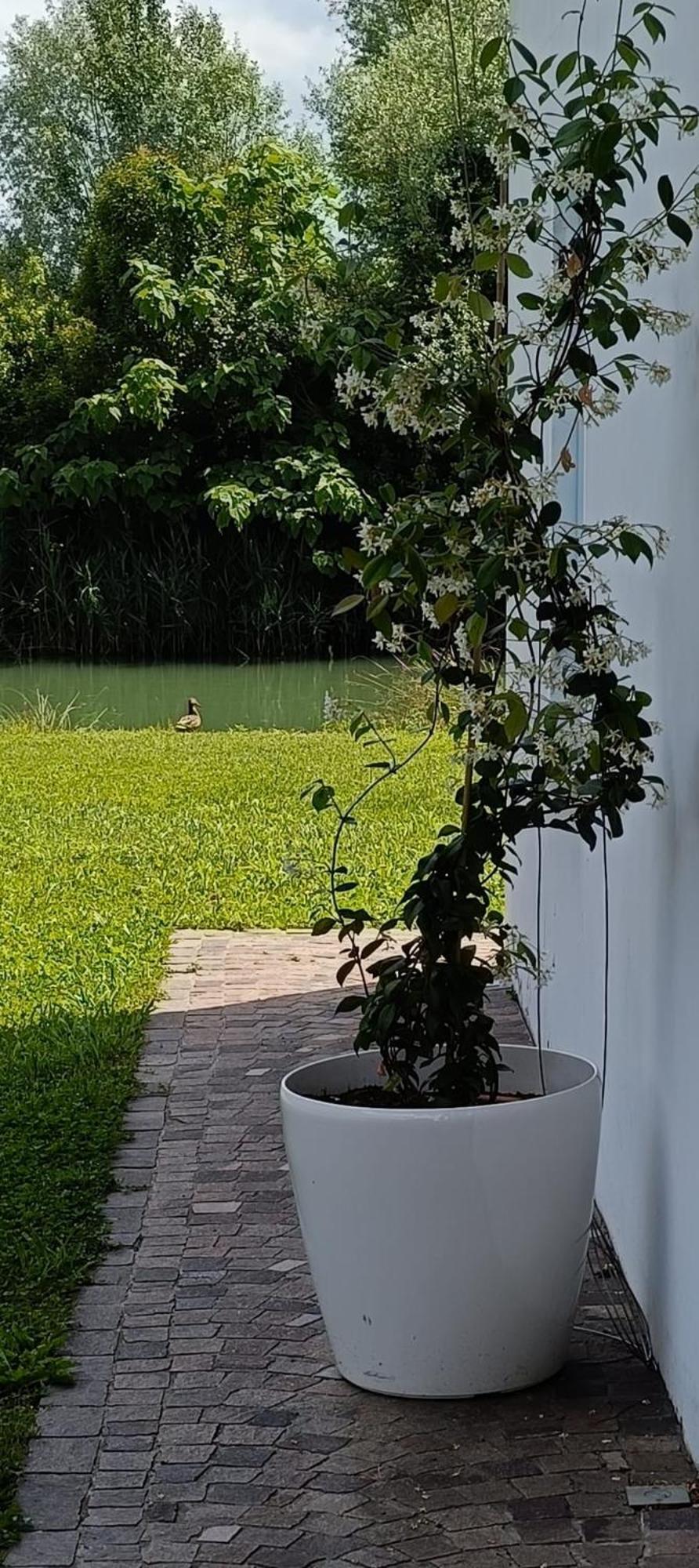 Locazione Riv'Al Sile Hotel Quinto Di Treviso Kültér fotó